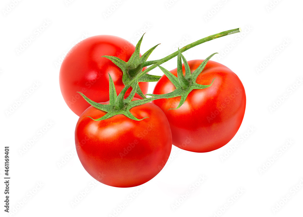 tomato branch isolated on white background tomato branch isolated on white background