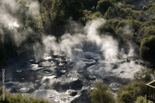 New Zealand Geothermal 