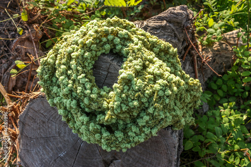 Scarf on display above a wooden log photo