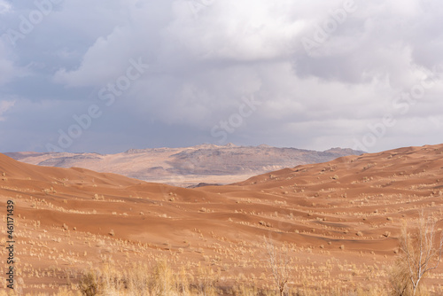 view from Nature and landscapes of dasht e lut or sahara desert with rotten tamarisk tree . Middle East desert © AAref