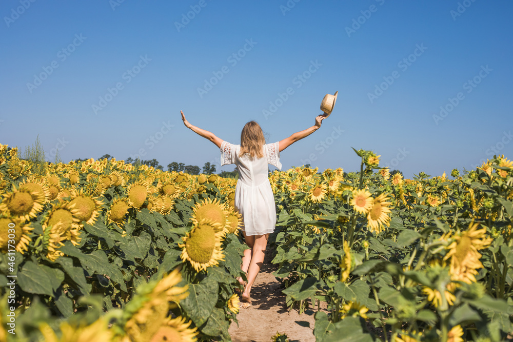 Beauty sunlit woman on yellow sunflower field Freedom and happiness concept. Happy girl outdoors Beauty sunlit woman on yellow sunflower field Freedom and happiness concept. Happy girl outdoors