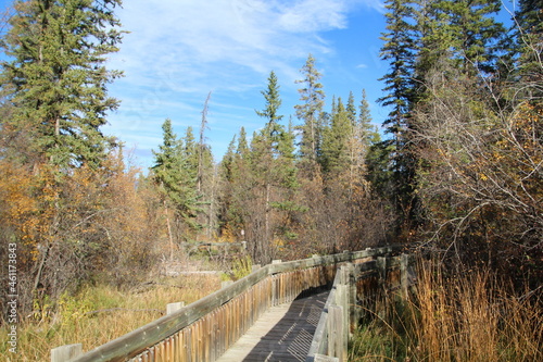 October On The Boardwalk, Banff National Park, Alberta