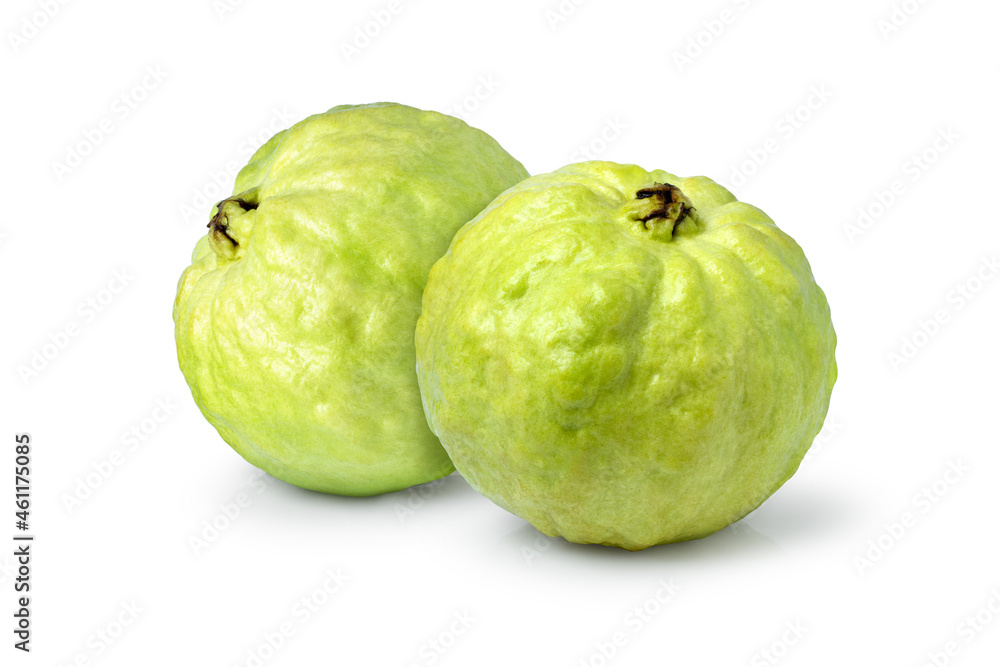 guava isolated on white background guava isolated on white background