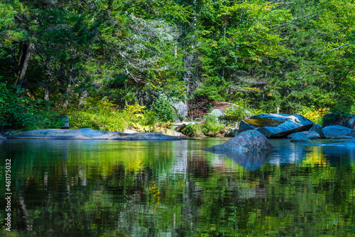 A forest and its reflection in the calm waters of the Ammonoosuk River at the base of Mount Washington in the White Mountain National Forest in New Hampshire.