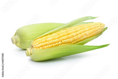 corn isolated white