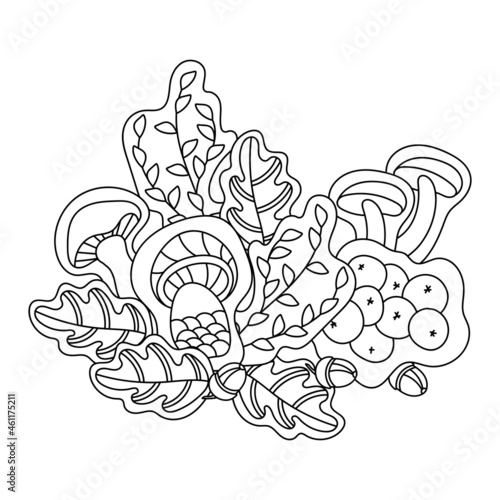 Forest mushrooms, Acorns, rowan berries and oak leaves in doodle style. Autumn Coloring book pages.