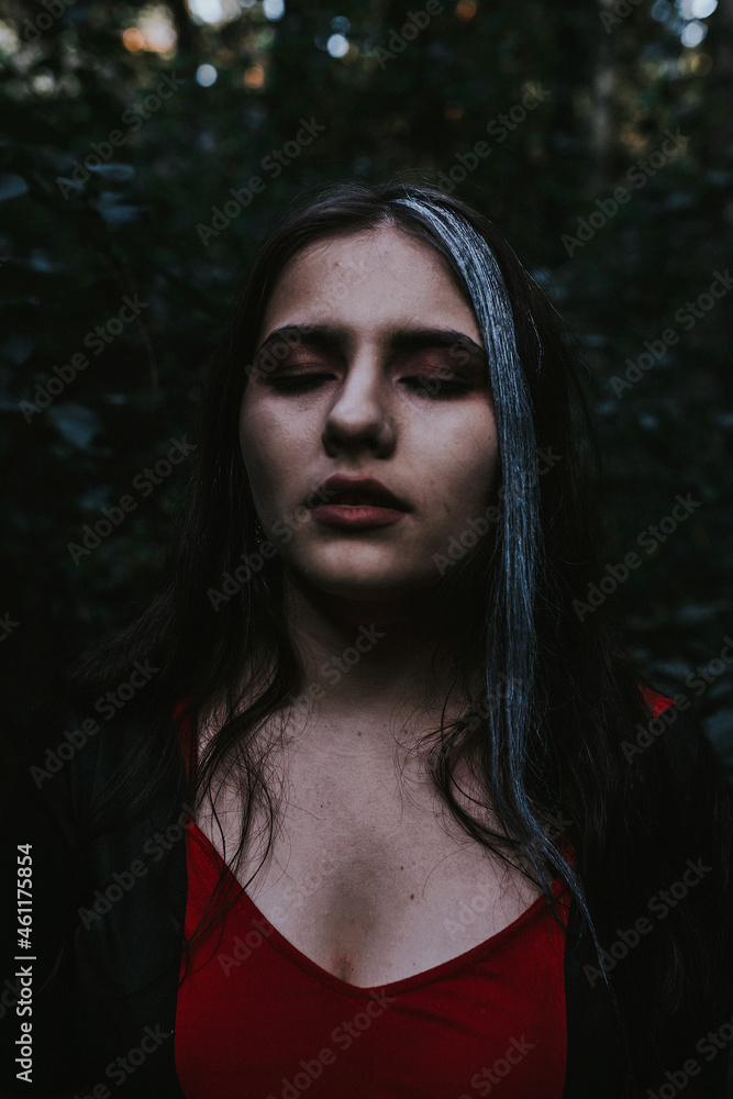 girl in a historical dress in a coniferous forest girl in a historical dress in a coniferous forest