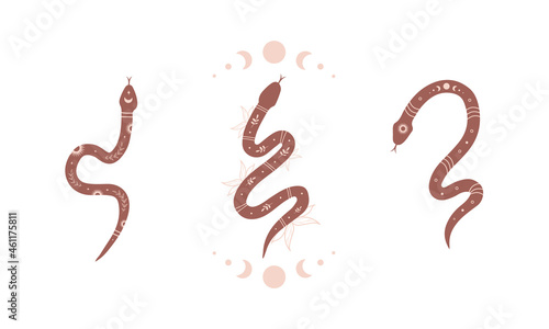 Magic snake in boho style with moon. Collection of mystical symbol in a trendy minimalist style. Esoteric vector illustration.