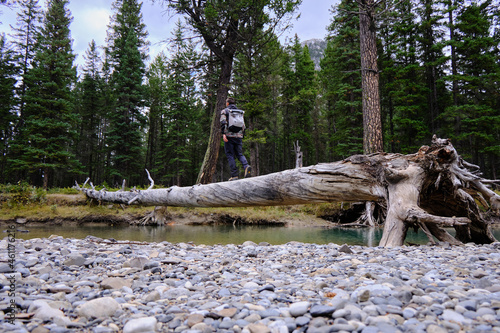 Log lying across the river, Banff National Park, Alberta, Canada