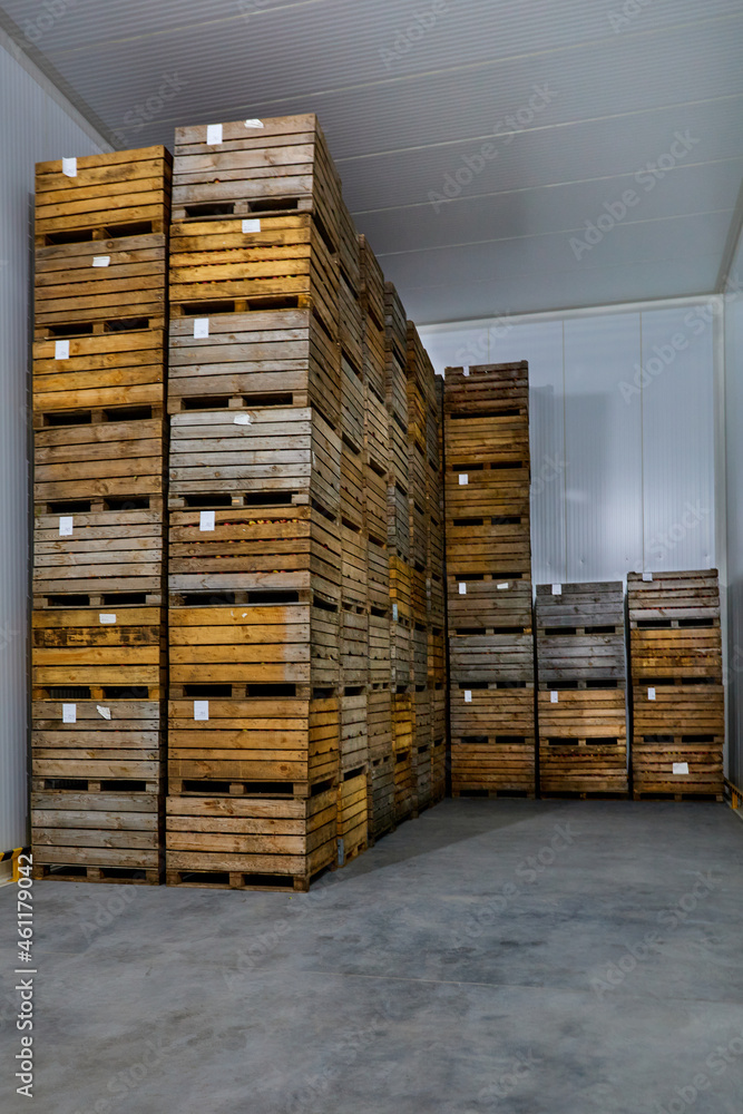 Boxes with apples in a thermal chamber for long storage. Boxes with apples in a thermal chamber for long storage.