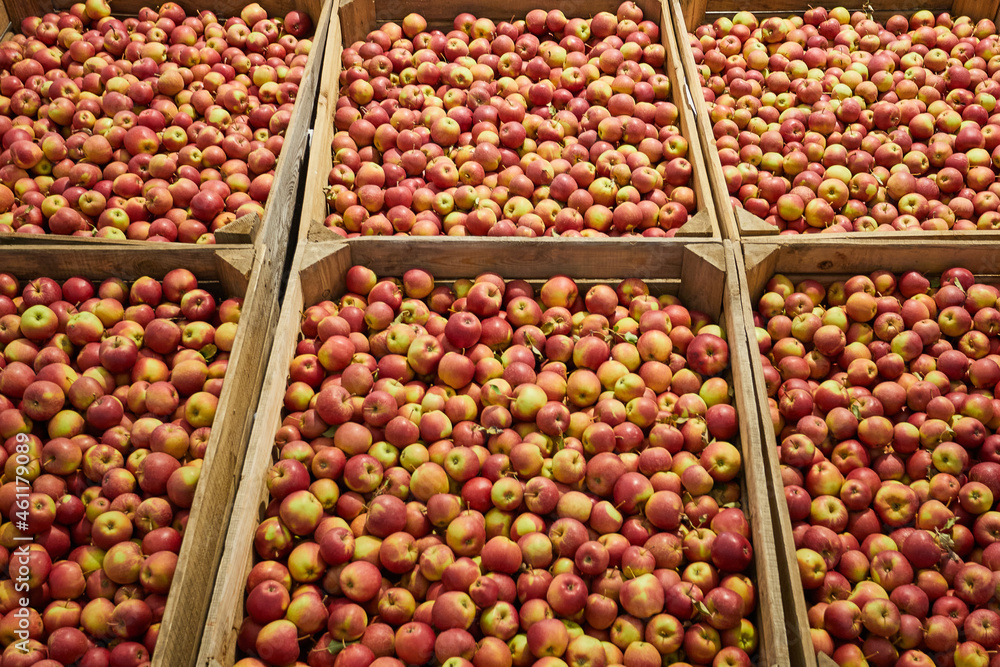 Lots of red apples in pallets. Full frame shot of red apples. Fresh red apples from the market. 