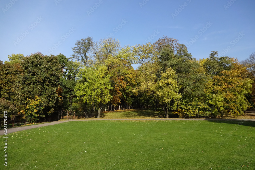 Autumn Landscape in city park Kadriorg in autumn season. Many spruce trees and trees with golden yellow folliage on the back. Green lawn in the front. Tallinn, Estonia, Europe. October 2021