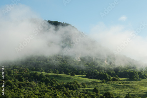 Small green bushes on the background of the mountain hidden by fog. In the background is a blue sky. Morning landscape.