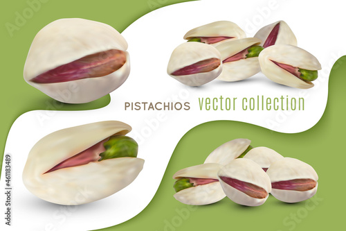 Set of vector pistachios nuts. Realistic salted kernel with dry shell. Pistache isolated on white and green background. Vegetarian fruit illustration.
