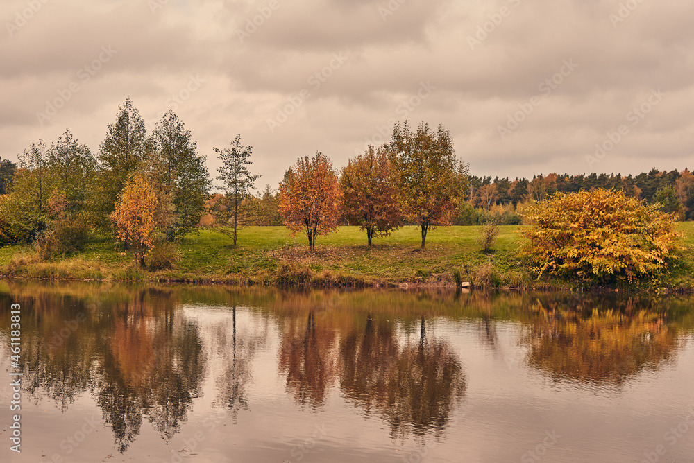 Autumn landscape. Trees with yellow leaves around a small lake on a cloudy day.