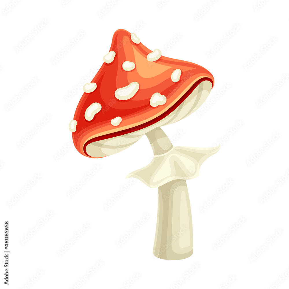 Amanita mushroom. Cute poisonous toadstool fly agaric cartoon vector illustration