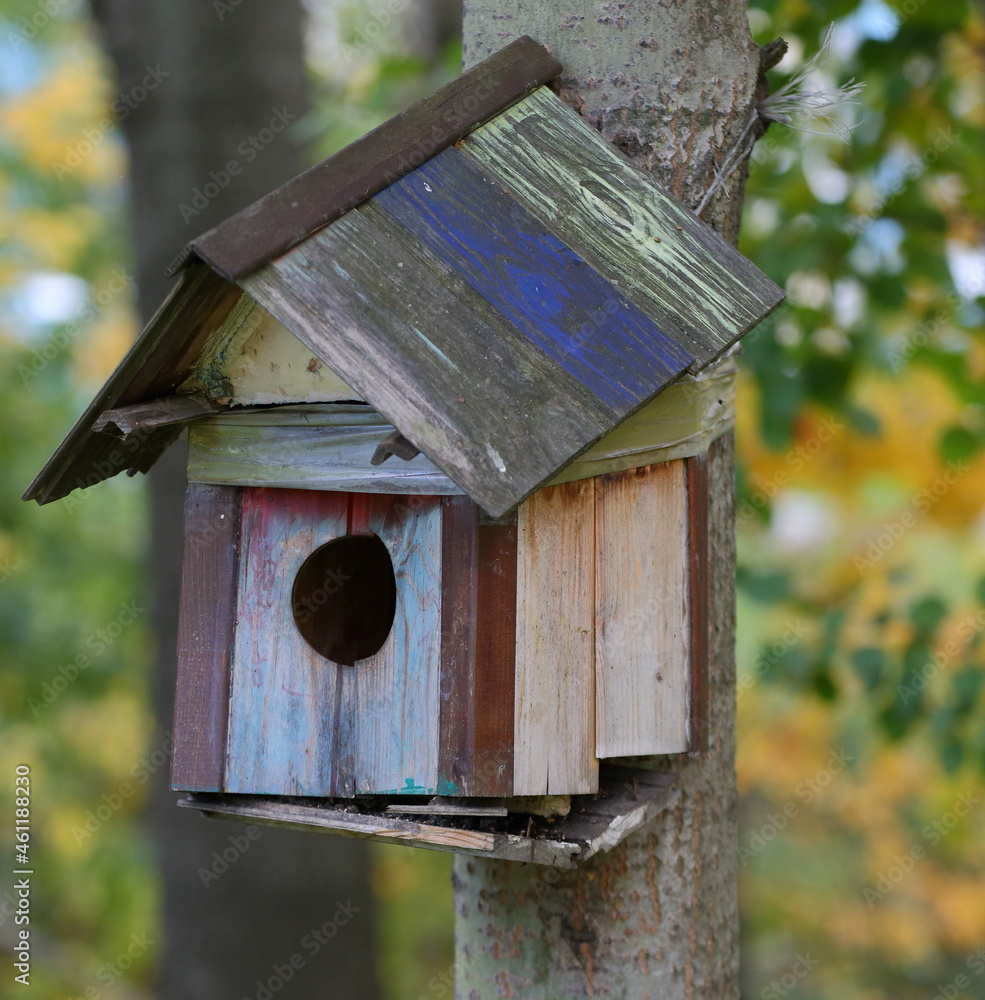 Homemade wooden birdhouse on a tree in the park
