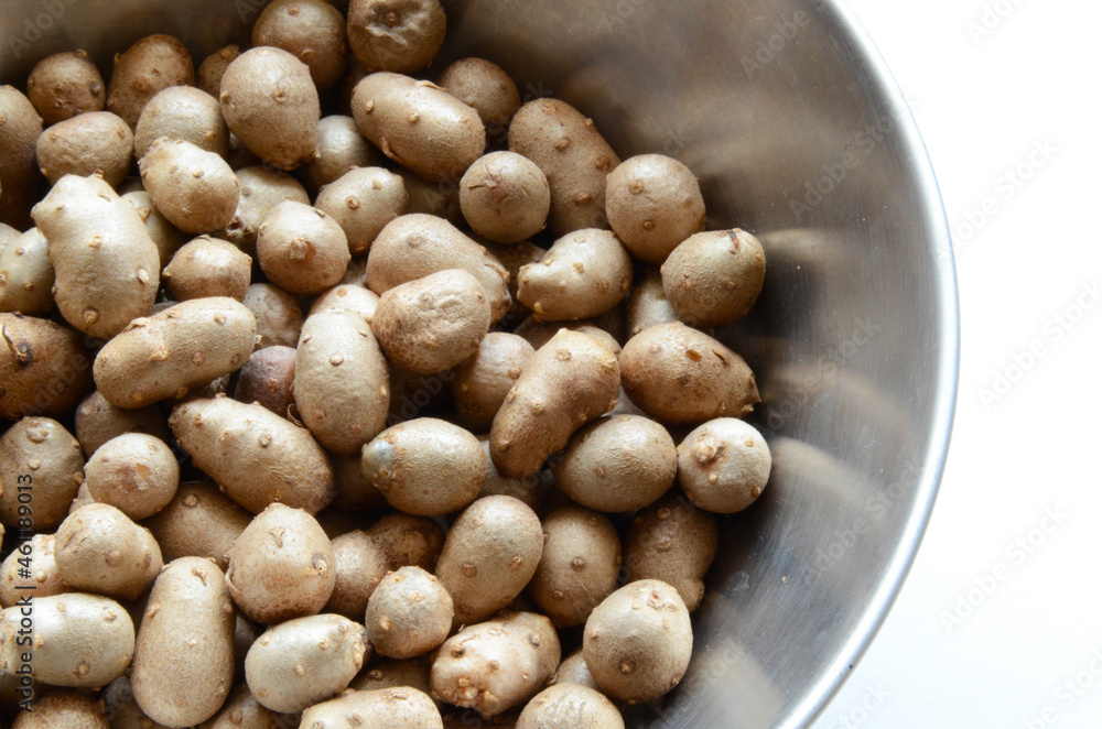 Yam Bulbil as healthy food. The part of the bud that has accumulated nutrients and has become enlarged. Yam Bulbil as healthy food. The part of the bud that has accumulated nutrients and has become enlarged.
