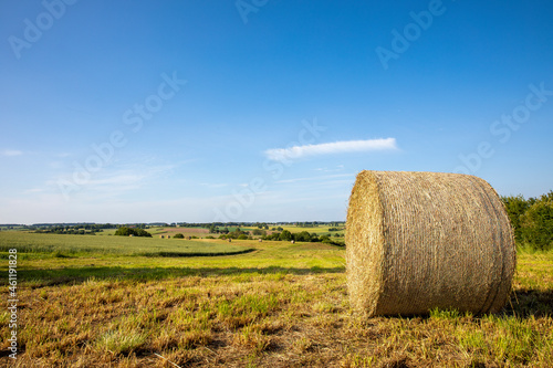 Paysage agricole, meule de foin dans les champs.