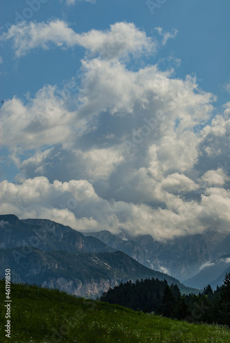 Panoramic landscape of Val d Ega, Eggen valley, summer 2021, South Tyrol, Italy, Europe © Angelo Calvino