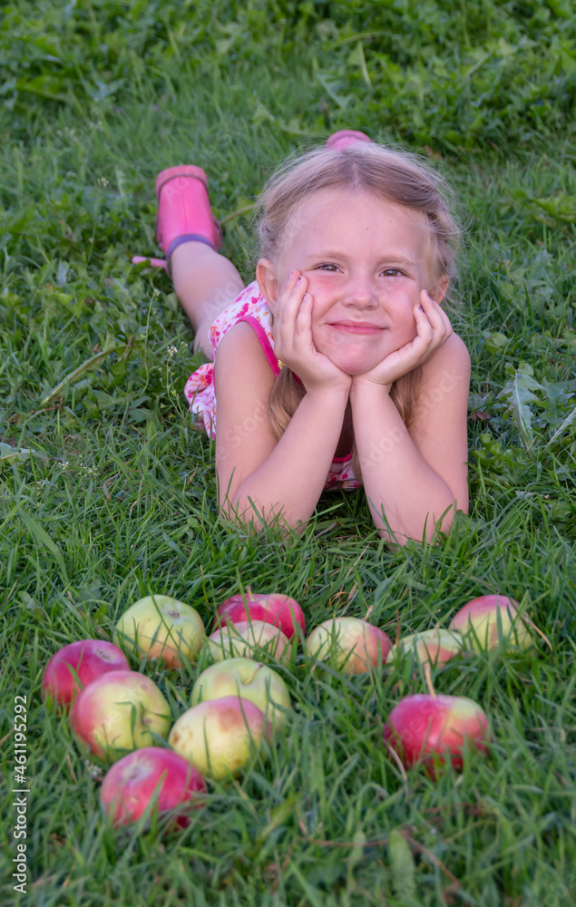 The girl holds in her hands large, delicious, ripe apples grown in the country. The girl holds in her hands large, delicious, ripe apples grown in the country.