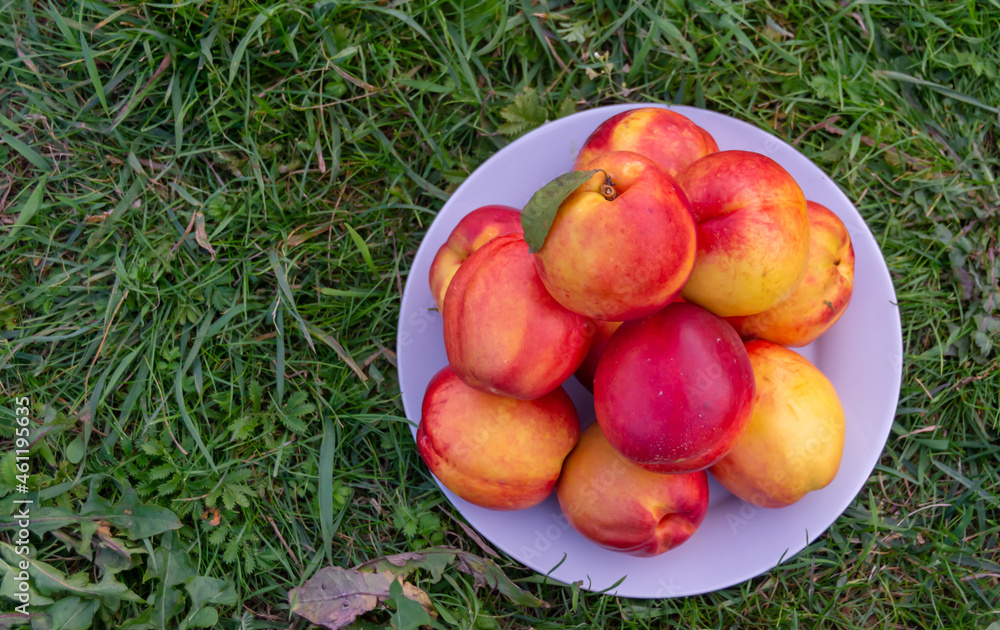 Juicy ripe delicious nectarines on the grass. Juicy ripe delicious nectarines on the grass.