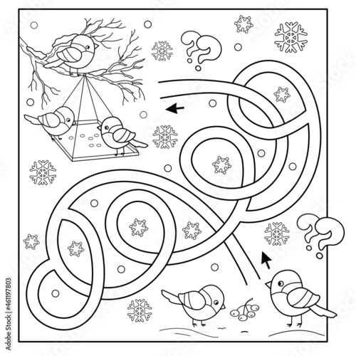 Maze or Labyrinth Game. Puzzle. Tangled Road. Coloring Page Outline Of cartoon birds in the winter. Bird feeder. Coloring book for kids.