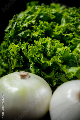 Fresh onions and big lettuce with black background