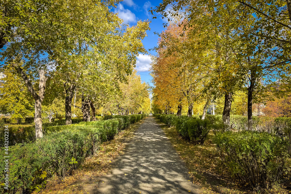 Naklejka premium autumn in the park