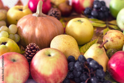 Harvest on table  seasonal autumn fruit and vegetable  organic vegetarian food