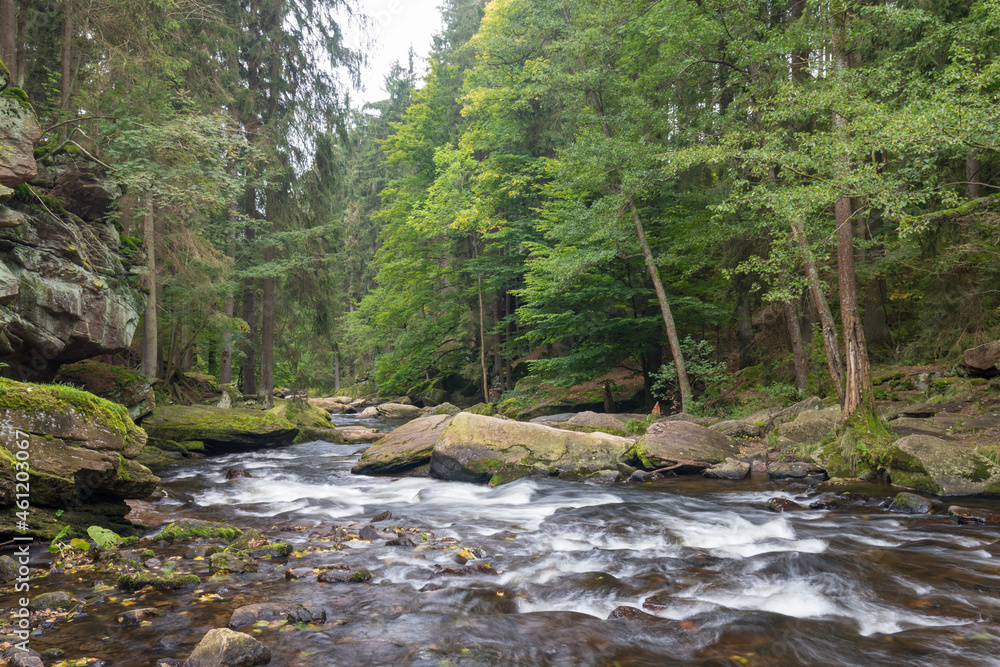Obraz premium Summer landscape with trees and river