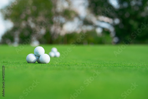 golf balls on the green grass. country club for golfers. 