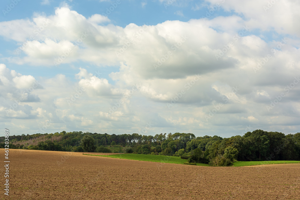 Rolling landscape with a barren field, meadows and trees under a blue cloudy sky.