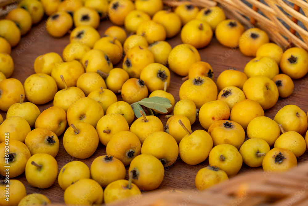 Close up of fresh ripe yellow hawthorn fruits, forest fruits. Close up of fresh ripe yellow hawthorn fruits, forest fruits.