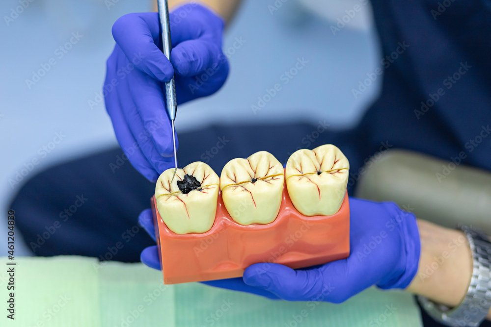 training, education, practicing dentist work. demonstration different