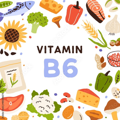 Vitamin B6 card. Frame of organic natural food sources of vitamine B 6. Healthy nutrients circle. Nutritions enriched with adermine. Colorful flat vector illustration with fish, garlic and cereals