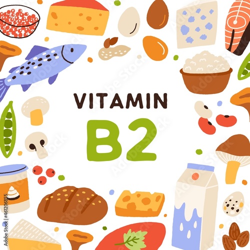B2 card, vitamin-rich food frame. Natural healthy nutrition enriched with riboflavin. Milk, curd, cheese, bread and mushrooms with B 2 vitamine. Colorful flat vector illustration with nutrients