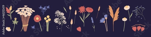 Set of different wild and garden flower plants. Floral bundle of wildflowers. Botanical floristic design elements. Collection of meadow and field flora. Colored flat vector illustration of herbs