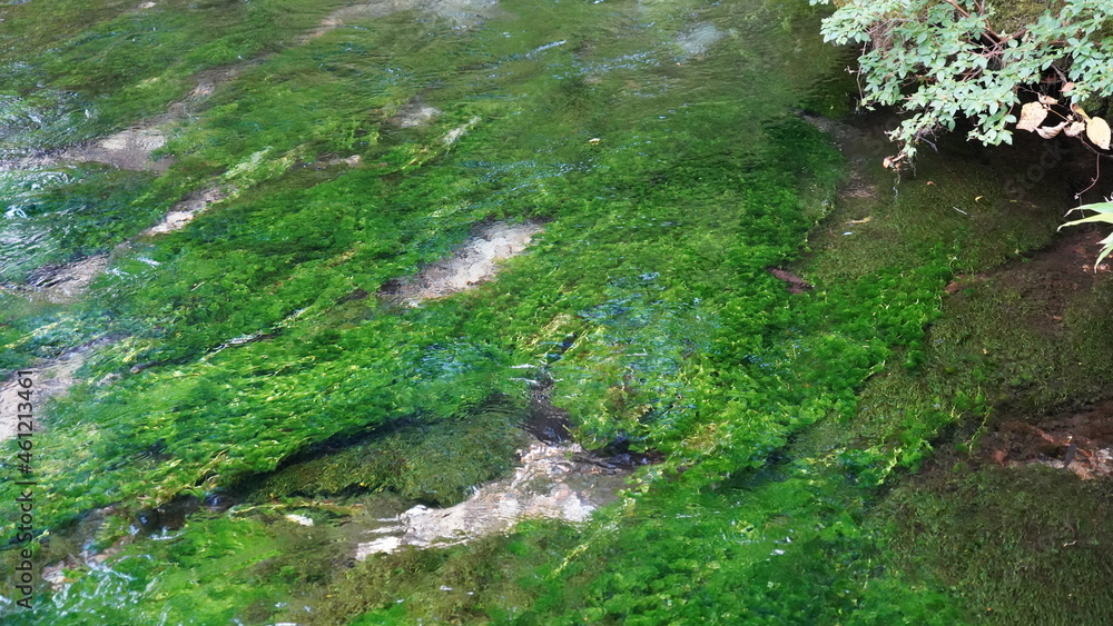 Naklejka premium 上高地からの風景