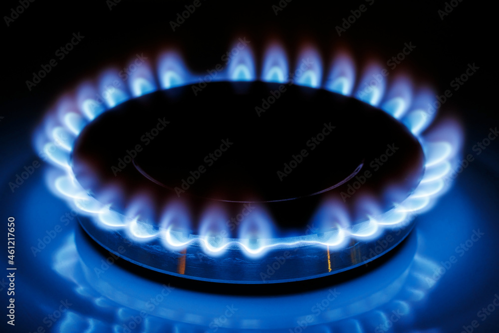 The blue flame of the gas burner of the kitchen stove in the dark The blue flame of the gas burner of the kitchen stove in the dark
