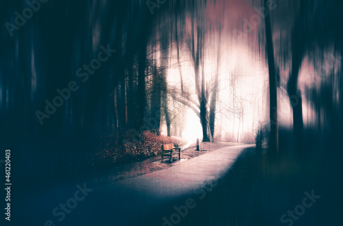 Magic, mysterious forest with trees in fog. Halloween concept © erika8213