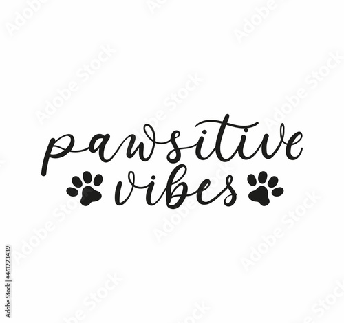 Pawsitive vibes inspirational lettering design with paw prints. Stay positive. Positive vibes. Motivational lettering card for pet lovers isolated on white. Vector illustration