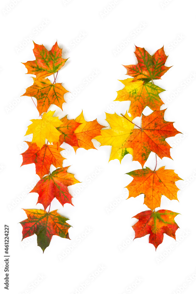 Letter H of colorful autumnal maple leaves on white background. Top view, flat lay Letter H of colorful autumnal maple leaves on white background. Top view, flat lay
