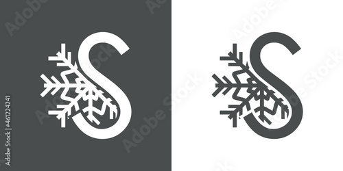 Logotipo letra S con silueta de copo de nieve en fondo gris y fondo blanco