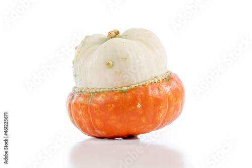 A selction of five gourds, assorted colours and shapes shot landscape orientation on white background with natural reflection below, space for text photo