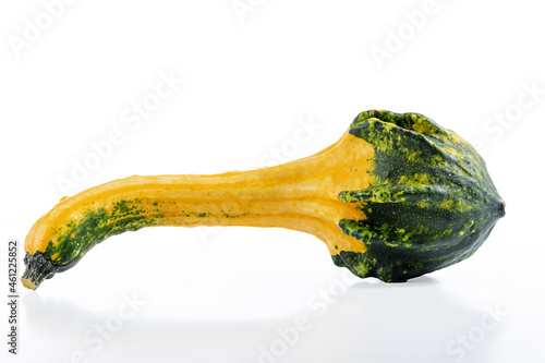 A selction of gourds, assorted colours and shapes shot landscape orientation on white background with natural reflection below, space for text photo