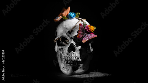 An image produced for halloween, all hallows' eve of a skeleton candy skull human head on a black background, skull has butterfly and flowers