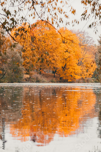 Autumn in the park
