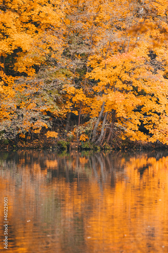 Autumn in the park