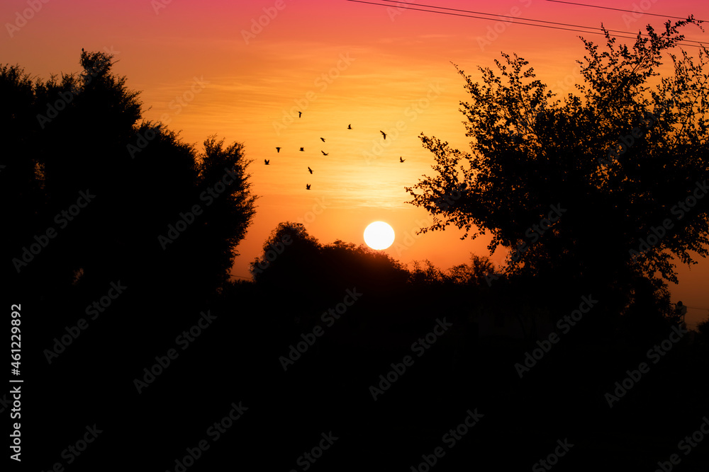 Attractive landscape photograph of sunrise in the morning view and Beautiful view of silhouette trees and silhouette hills and rising sun in the countryside with creative colors sky background